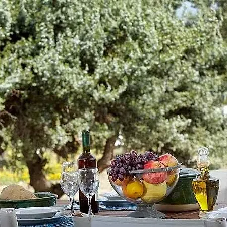 فندق Kedros Naxos City