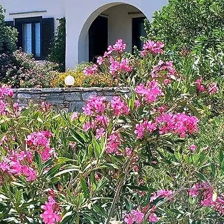 Kedros Naxos City
